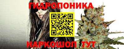 a pvp Краснодар