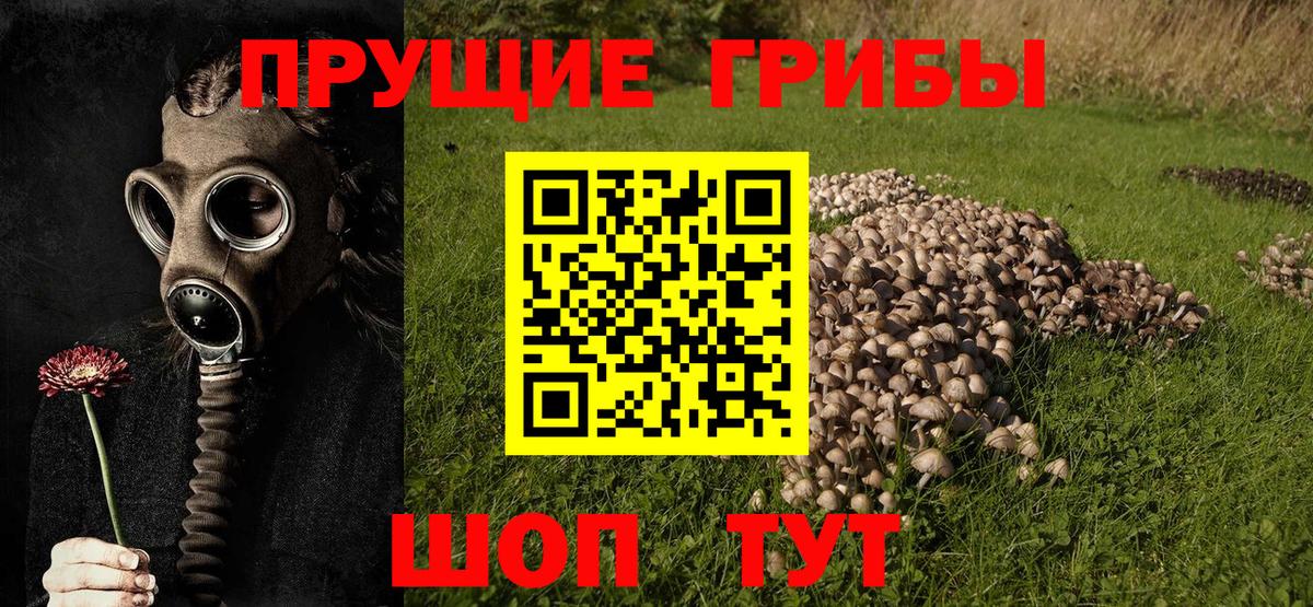 Галлюциногенные грибы Magic Shrooms Карталы